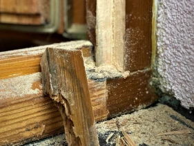 Odstranění shnilých částí dřeva